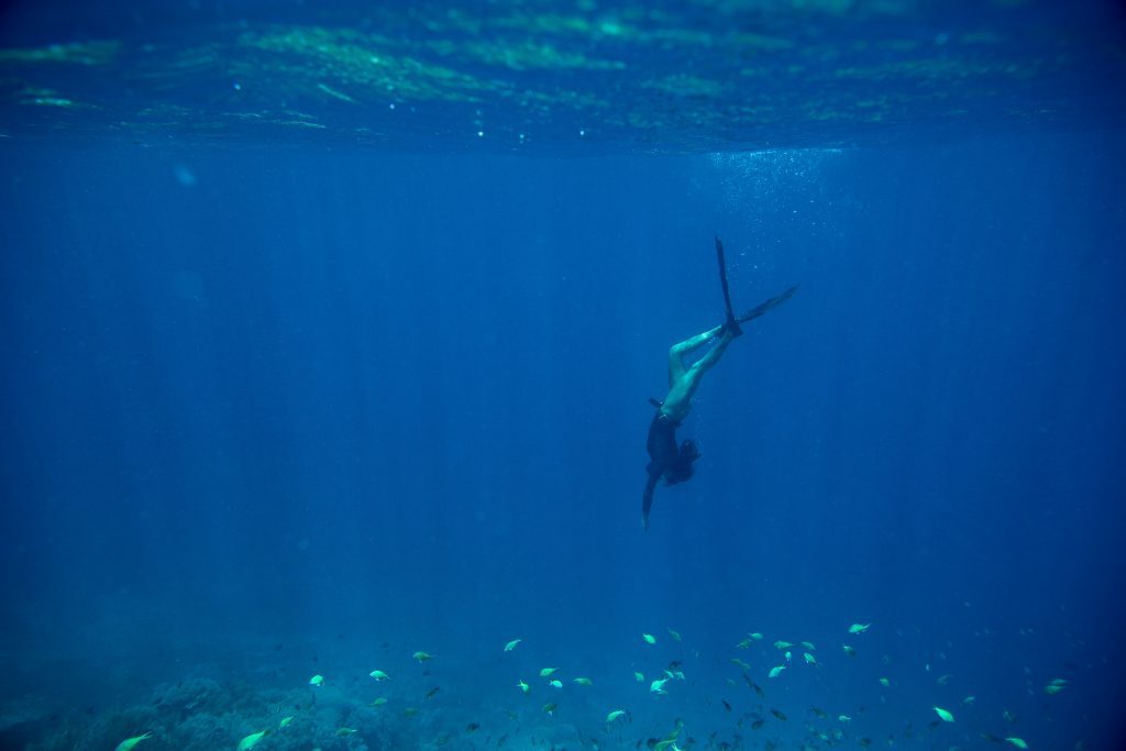DB Experiences FreeDiving 1 scaled